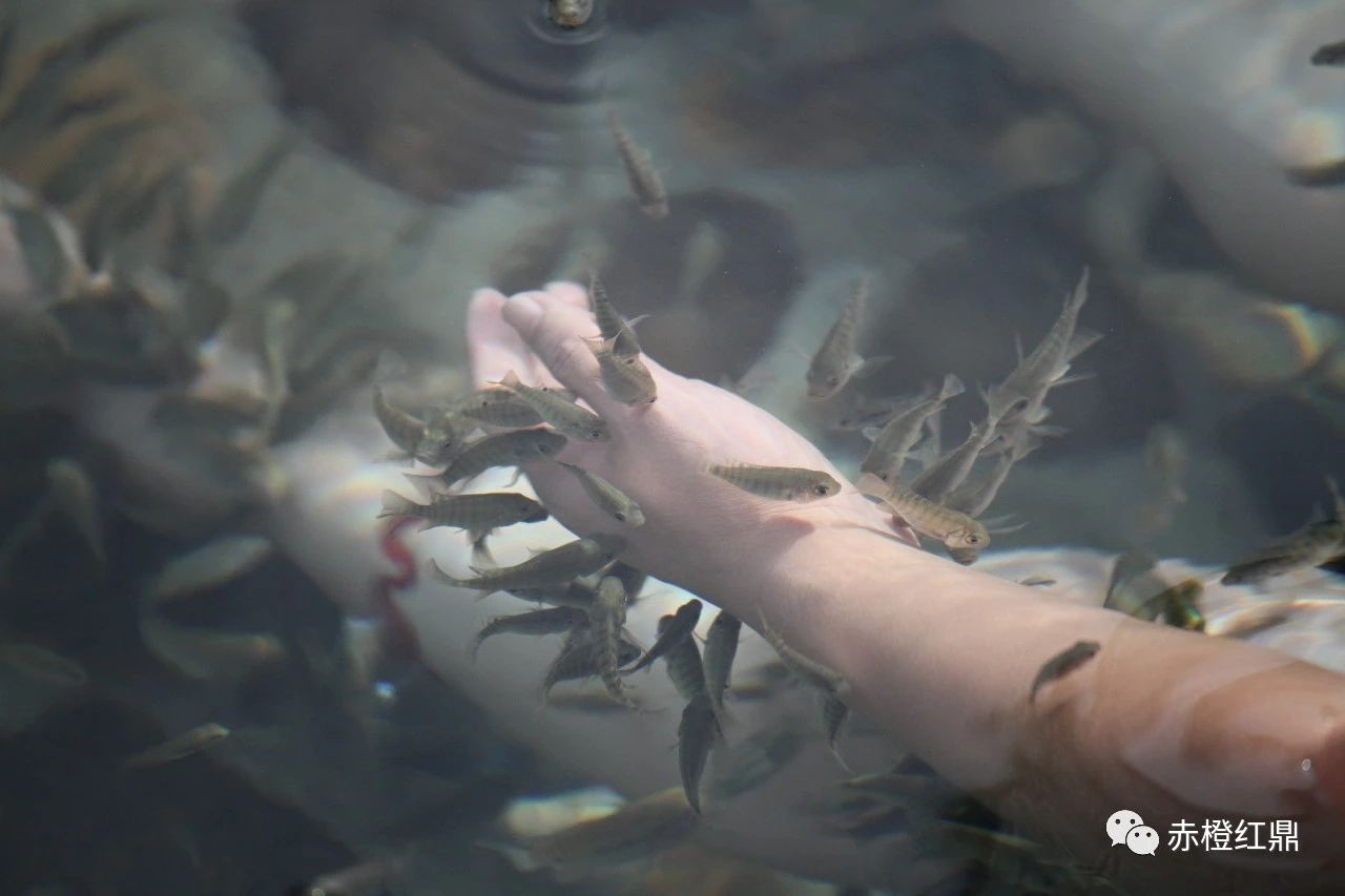 1612320727906636.jpg 19.jpg